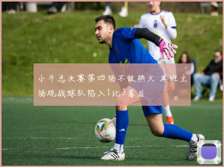 小牛总决赛第四场不敌热火 库班主场观战球队陷入1比3落后