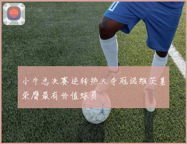 小牛总决赛逆转热火夺冠诺维茨基荣膺最有价值球员