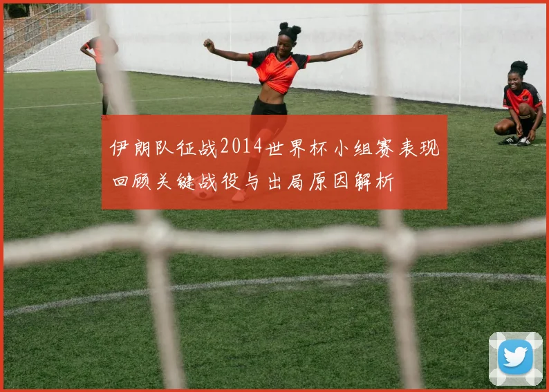 伊朗队征战2014世界杯小组赛表现回顾关键战役与出局原因解析