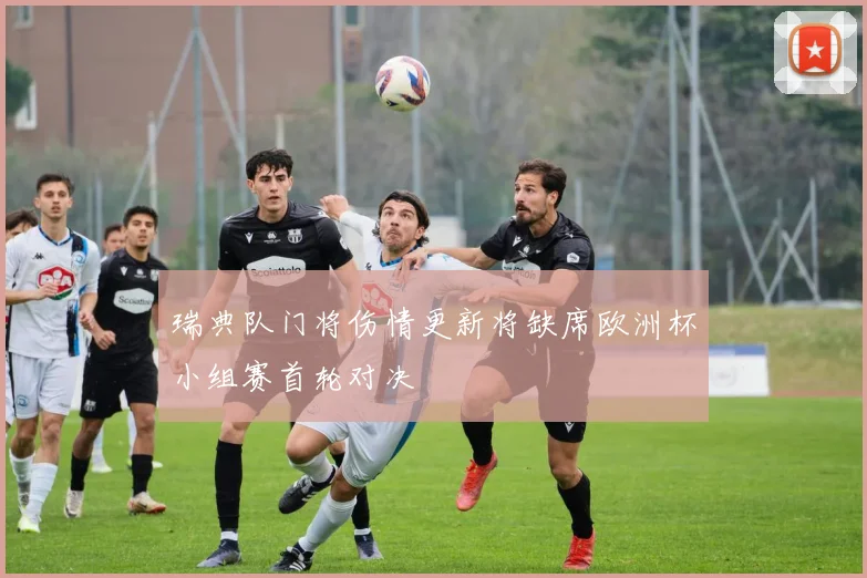 瑞典队门将伤情更新将缺席欧洲杯小组赛首轮对决