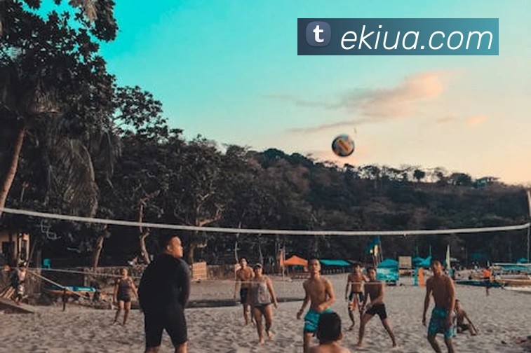 时博体育平台生态图